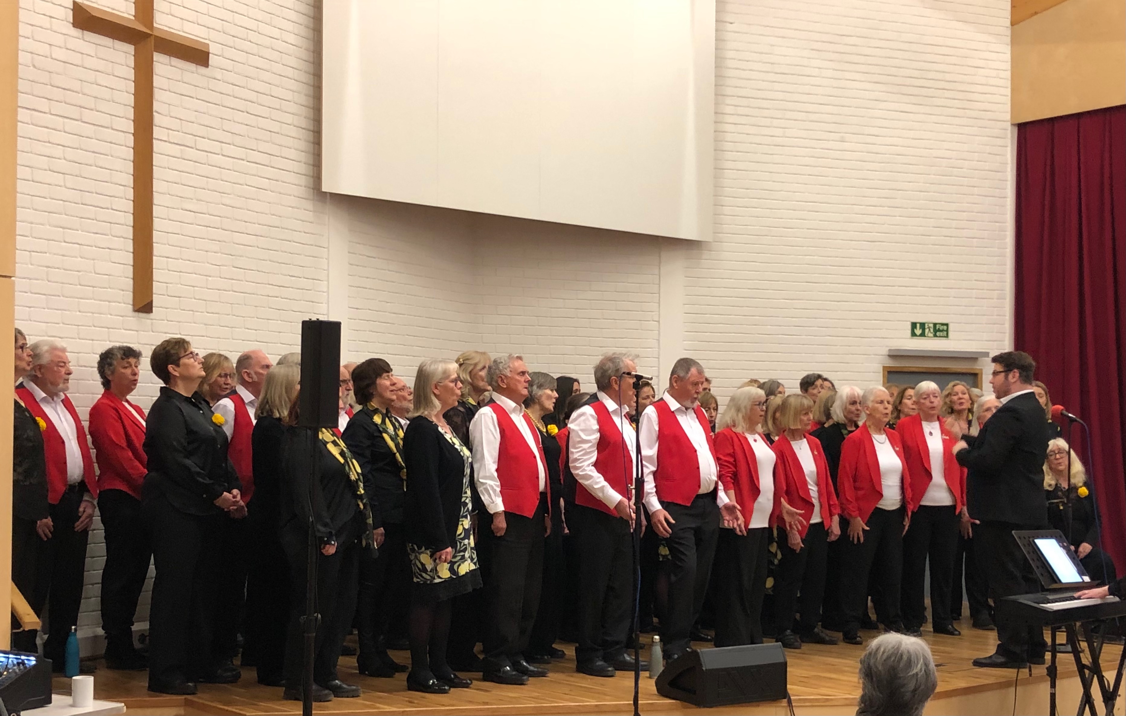 Concert with Lemon Tuesday